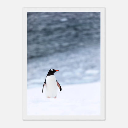 a2520f14-d7ce-4ff9-a0f2-4717b0d4d18e