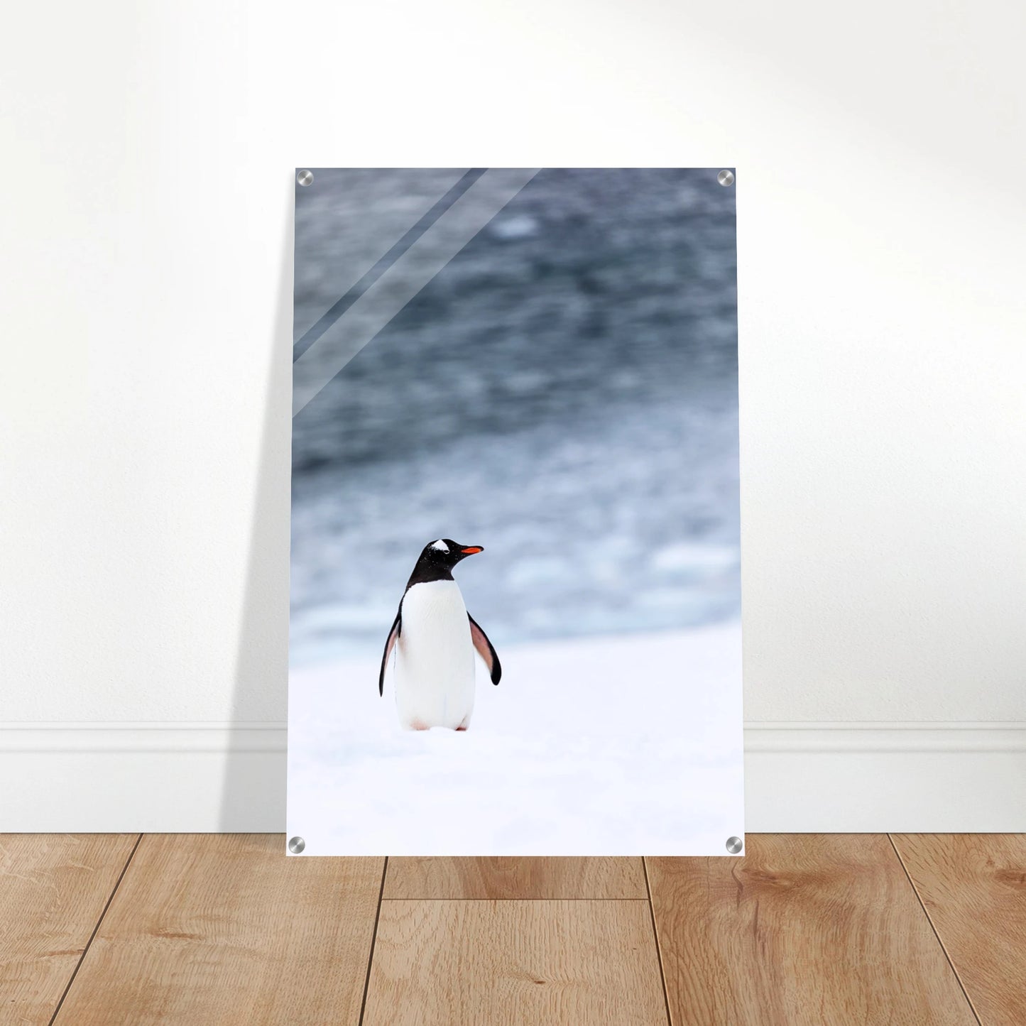 a29669a7-1e8d-46c0-8529-d4027442abf6