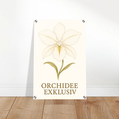 a6df9c3e-d775-4c05-85c9-63c3da8184c7