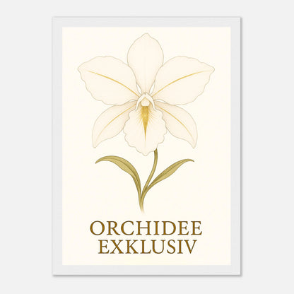 acd42754-07a1-461c-a527-7c0b7feeb6cc