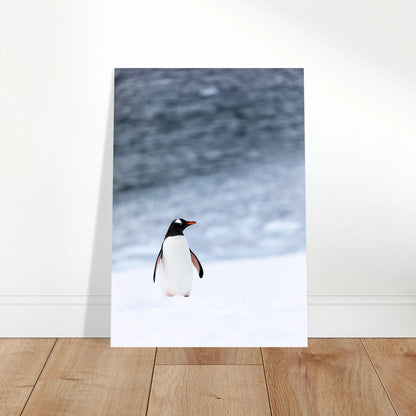 Antarctic Stroll Poster – stilvolle Tierkunst mit Pinguin im modernen Wohnzimmer.