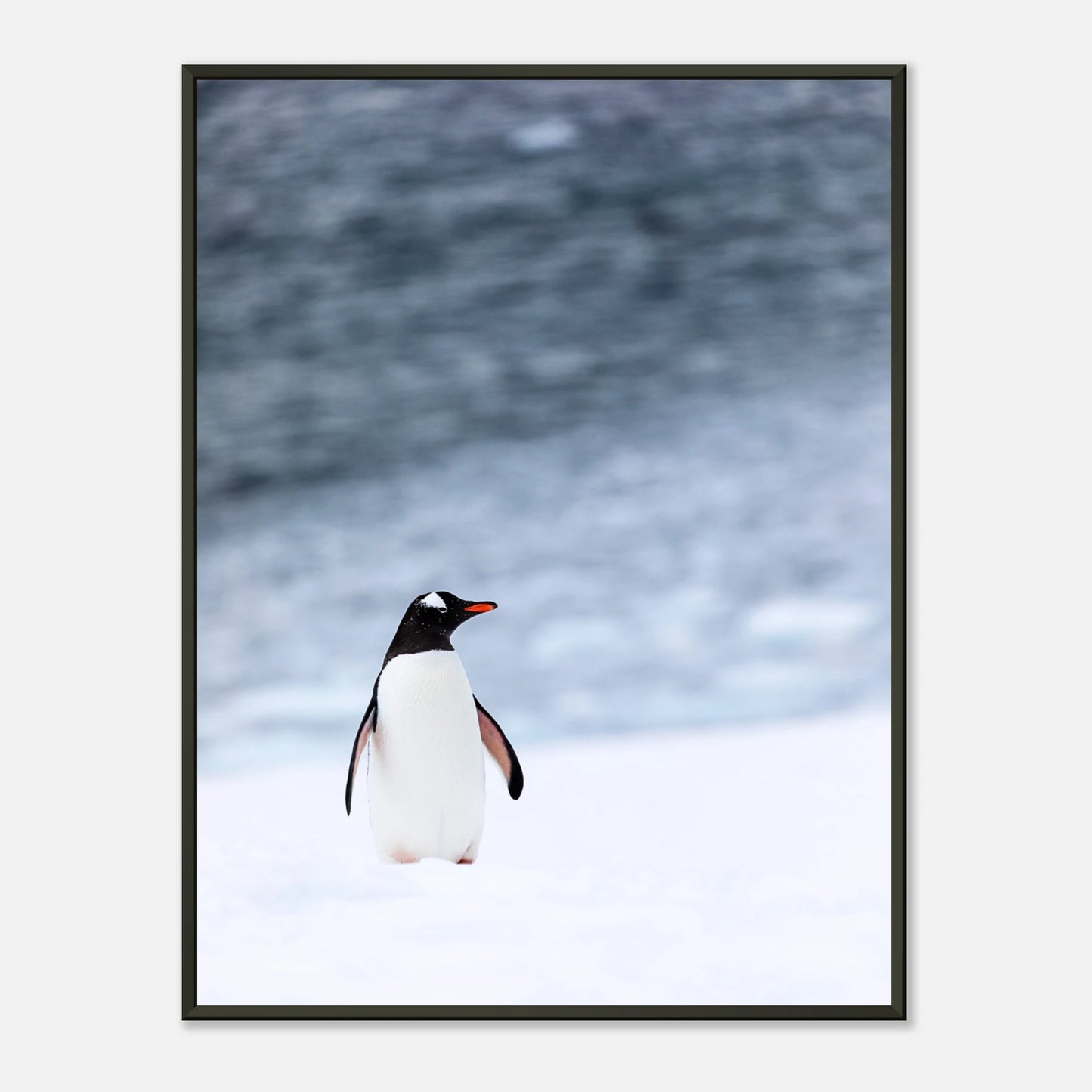 Antarctic Stroll Poster – eleganter Pinguin auf Schnee, winterliches Wandbild im schwarzen Metallrahmen | DEFA Designs
