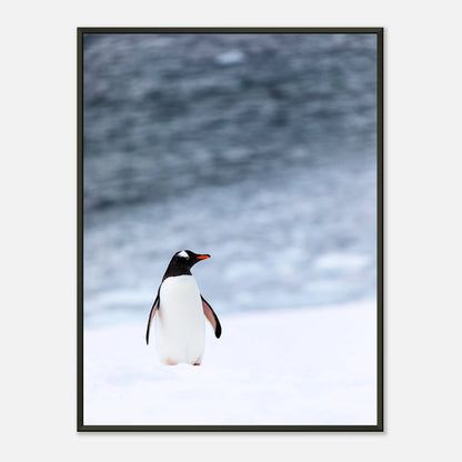 Antarctic Stroll Poster – eleganter Pinguin auf Schnee, winterliches Wandbild im schwarzen Metallrahmen | DEFA Designs