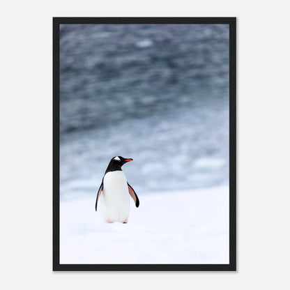 b08a4fad-72e0-4d58-b0fd-b44ef0ebc5d7