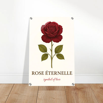 b72d4a41-b3b5-40d0-bb5d-8e48ae1a810f