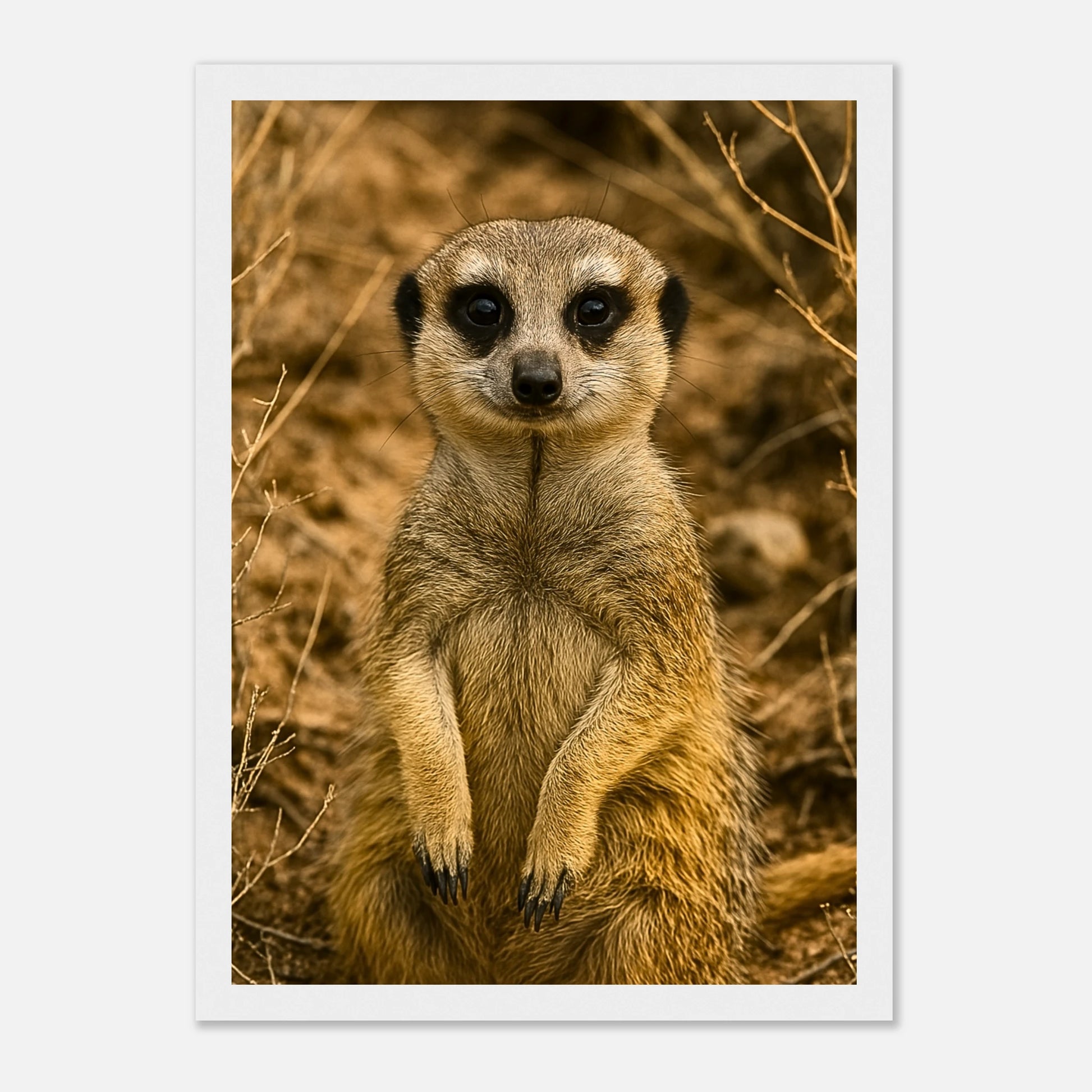 b80b5b7f-1e31-43aa-a76c-2254d34676a2