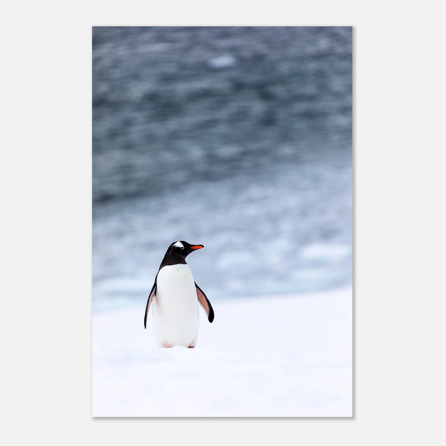 bae7f8cc-671e-4fe4-9c60-f2dc5d56ae2d