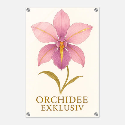 bafe6352-febc-4a33-ac1e-6d4533be02d2