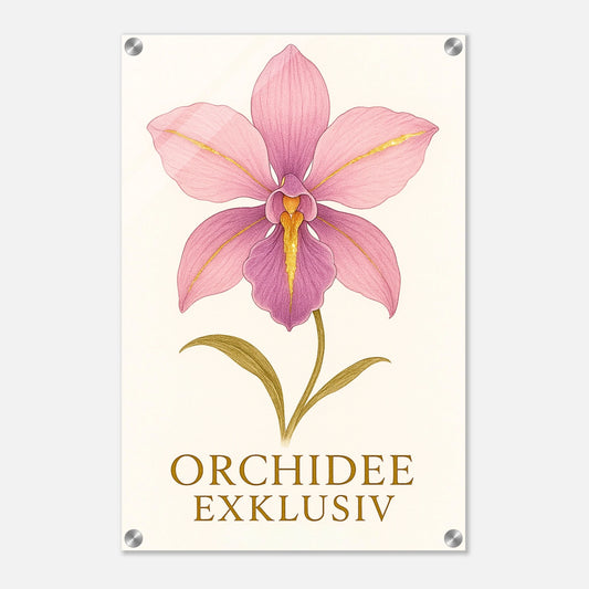 bafe6352-febc-4a33-ac1e-6d4533be02d2