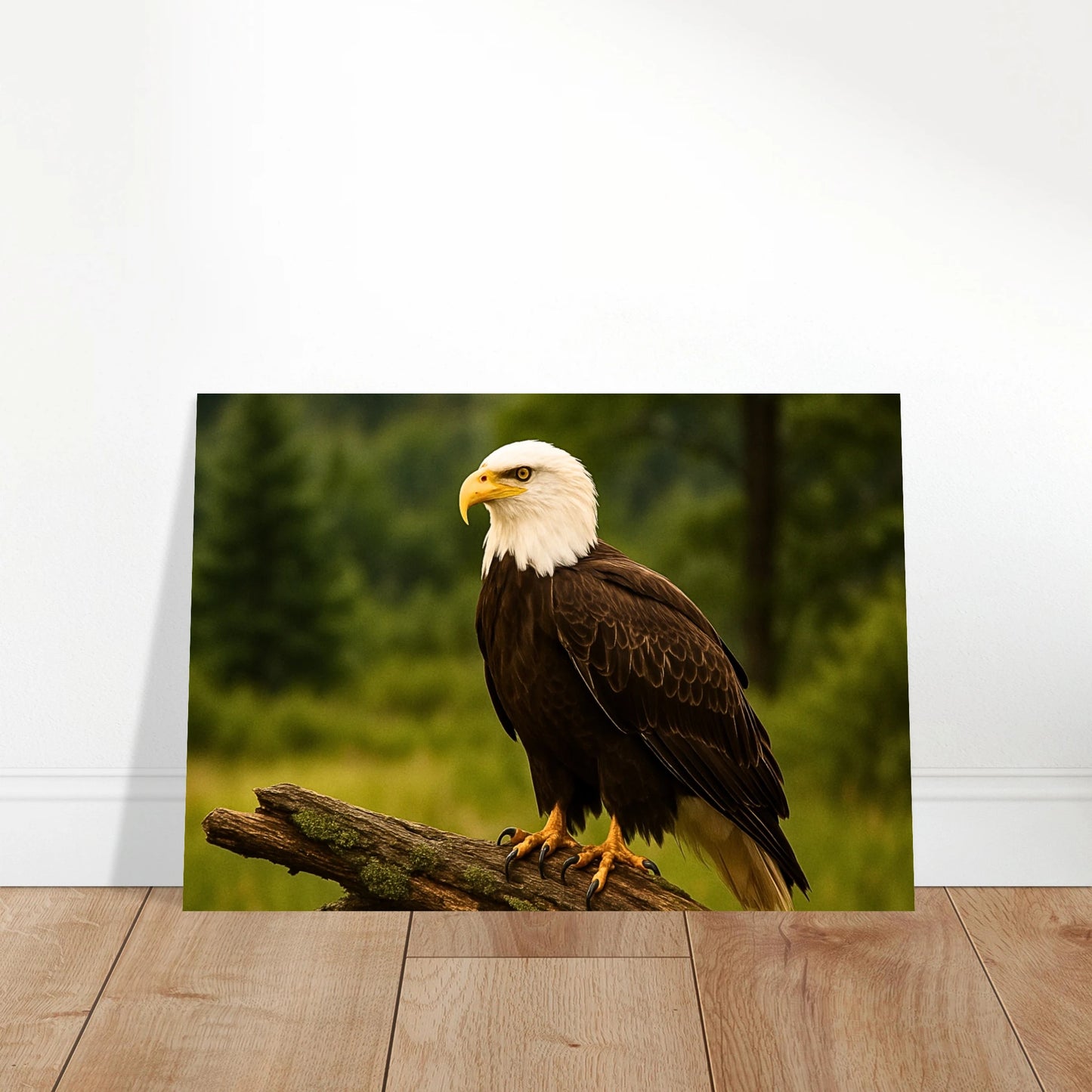 Bald eagle wall art poster displayed in modern living room interior, wildlife nature print home decor.