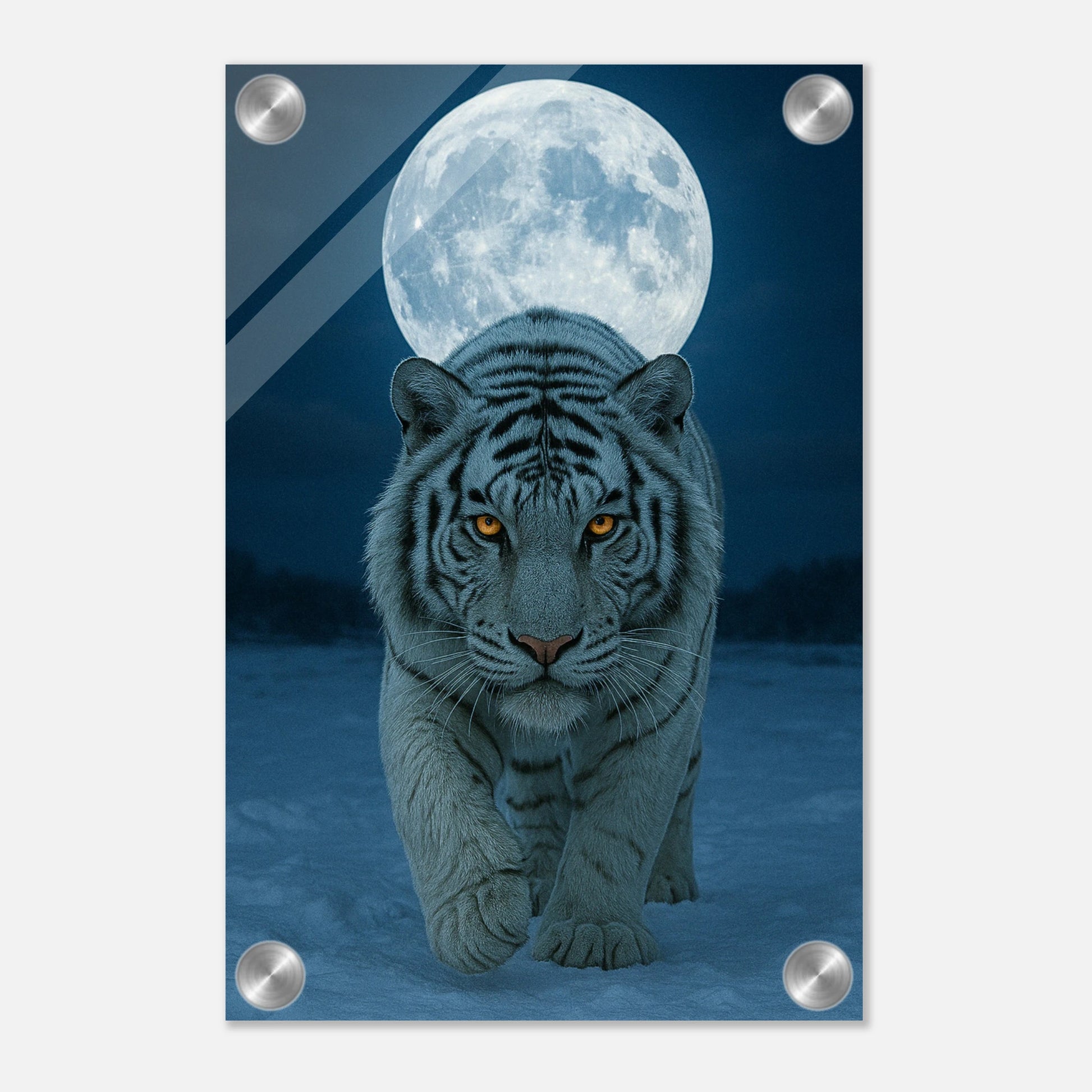 bb797d01-3805-41ad-bc9e-c8fe47120f8a