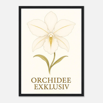 c02dfe4b-01d5-4db8-b0e5-e1df084fa47c