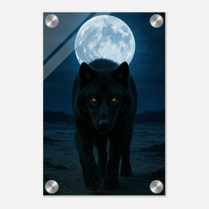 c6326aa0-9c92-4b71-bc69-6a926d6201f7