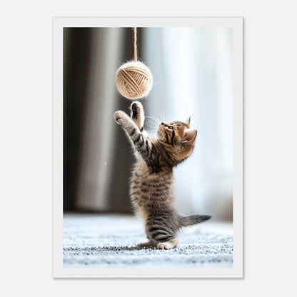 c790144e-ecca-4456-93fa-0f012b015083