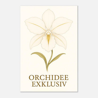 c9a6f435-80fc-4011-9553-b08163a56b6a