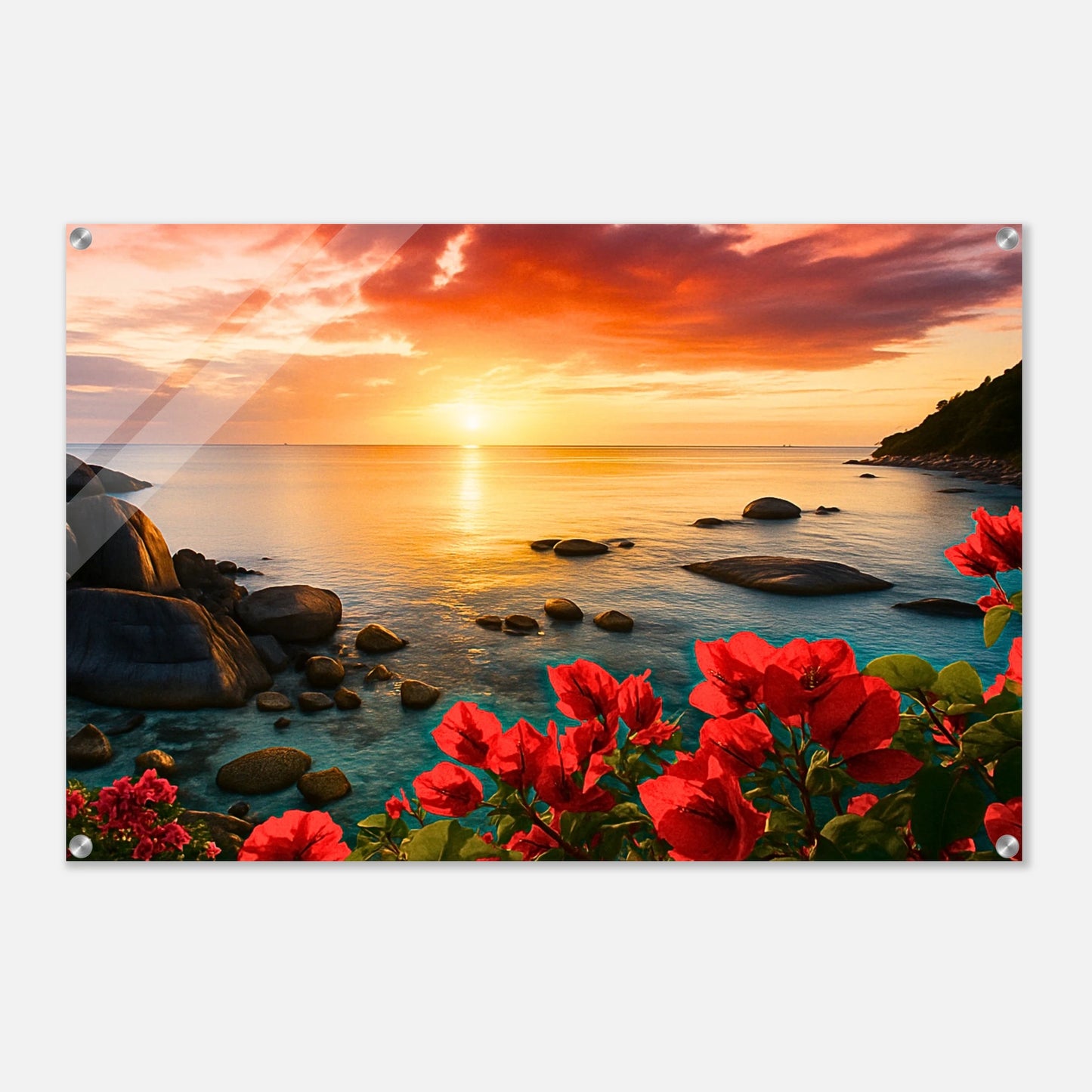 cbb3b895-abb4-498b-96fc-1e488a861a86