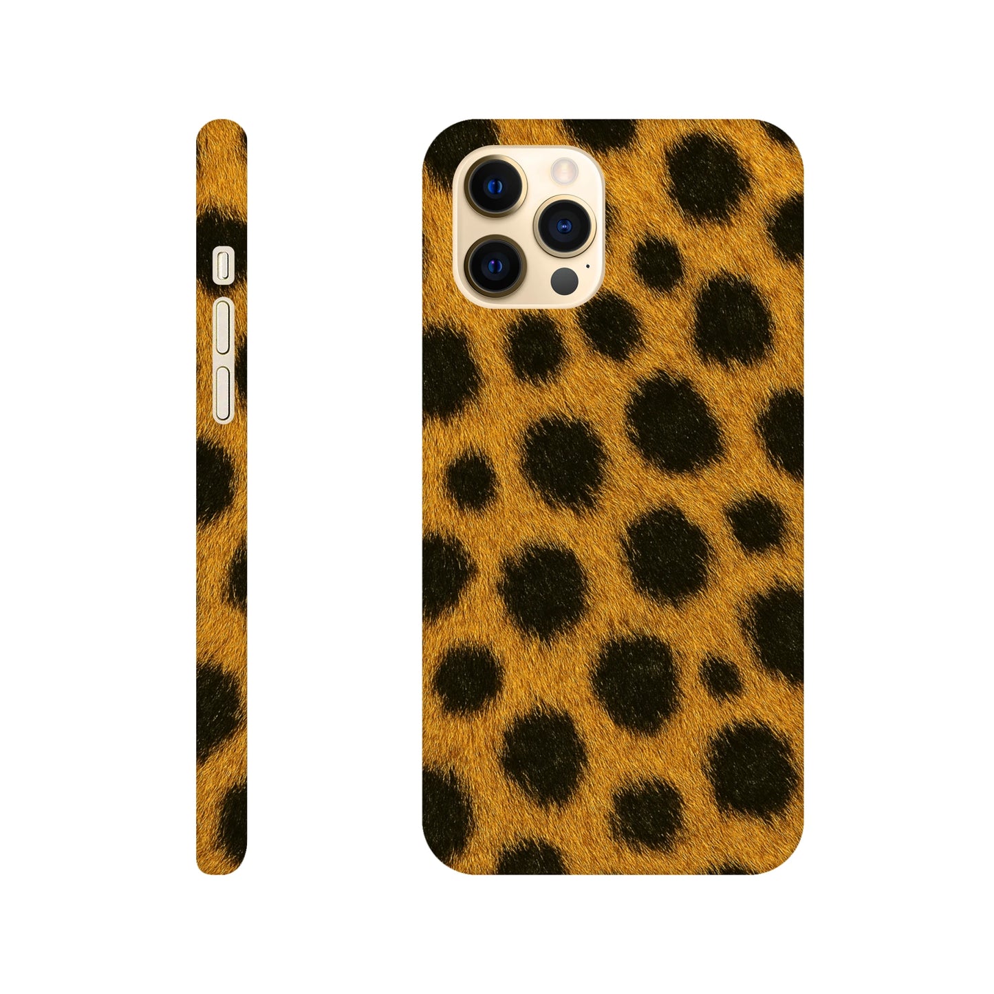 ccc1d8ef-67a8-453d-b071-0dd800ad6b82