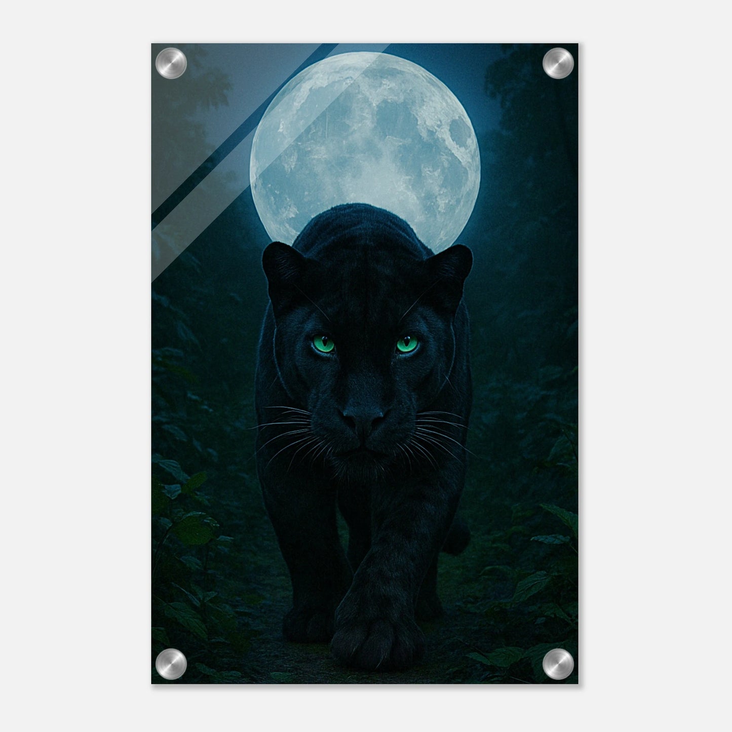 cf0e2578-3bcc-455e-ae51-af03343db769