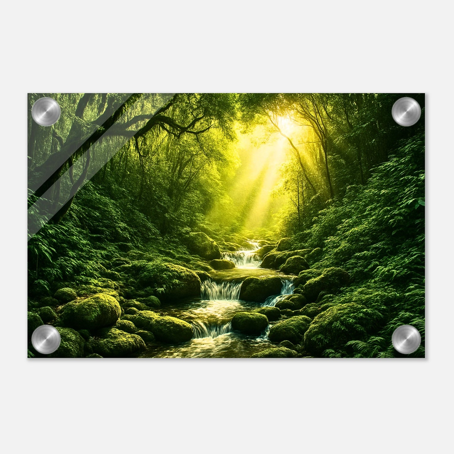 d59ccc62-097e-41cd-8c81-30b136134a31