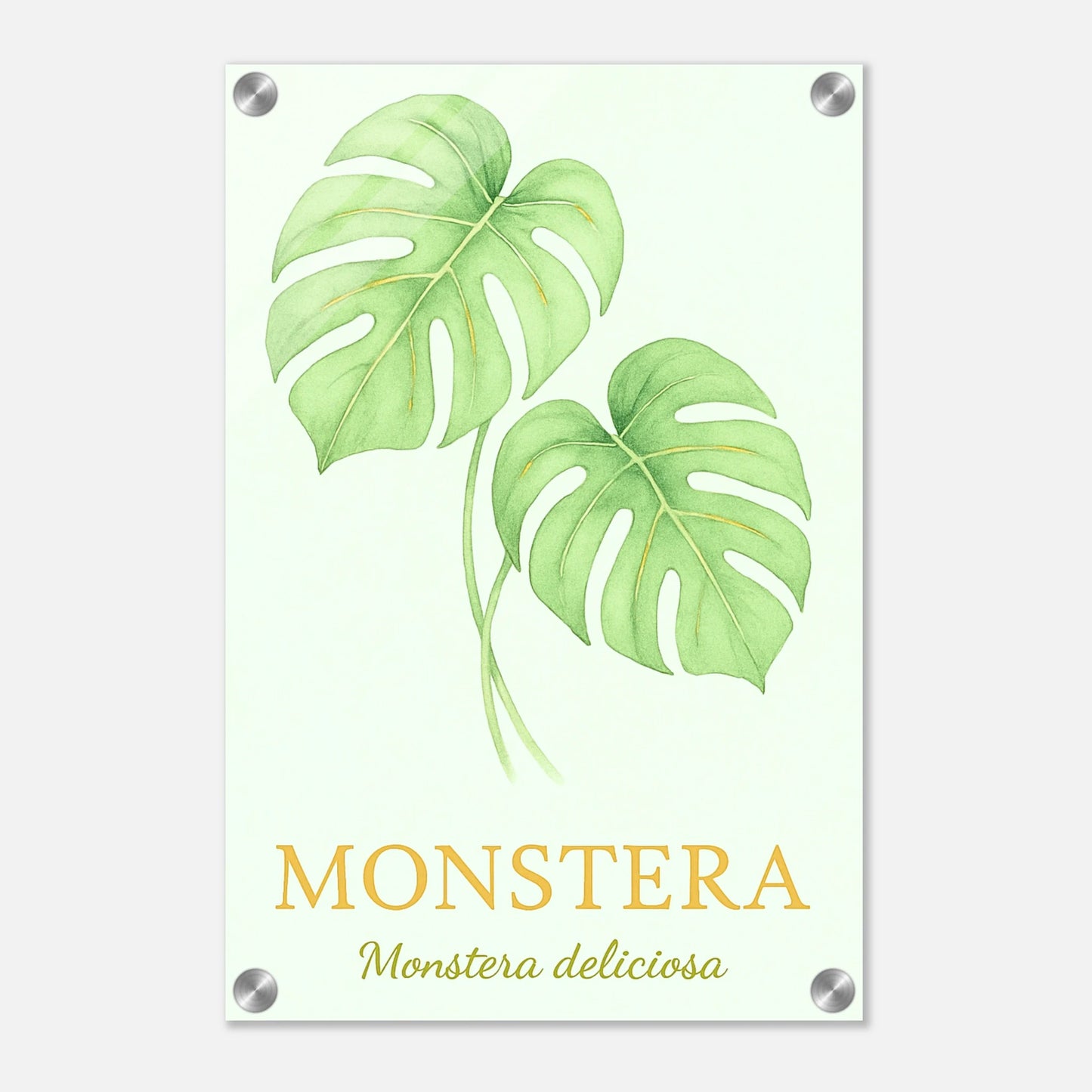 db482320-029b-4093-bcbd-6e6b8a43b440