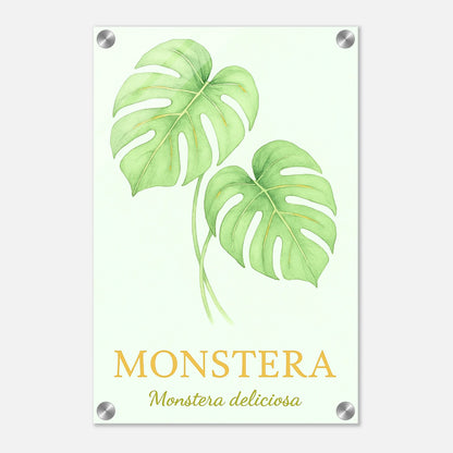 db482320-029b-4093-bcbd-6e6b8a43b440