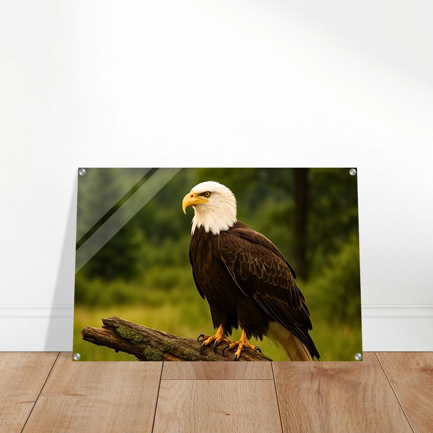 e7c72da2-204a-4172-9437-607aa7e2af85