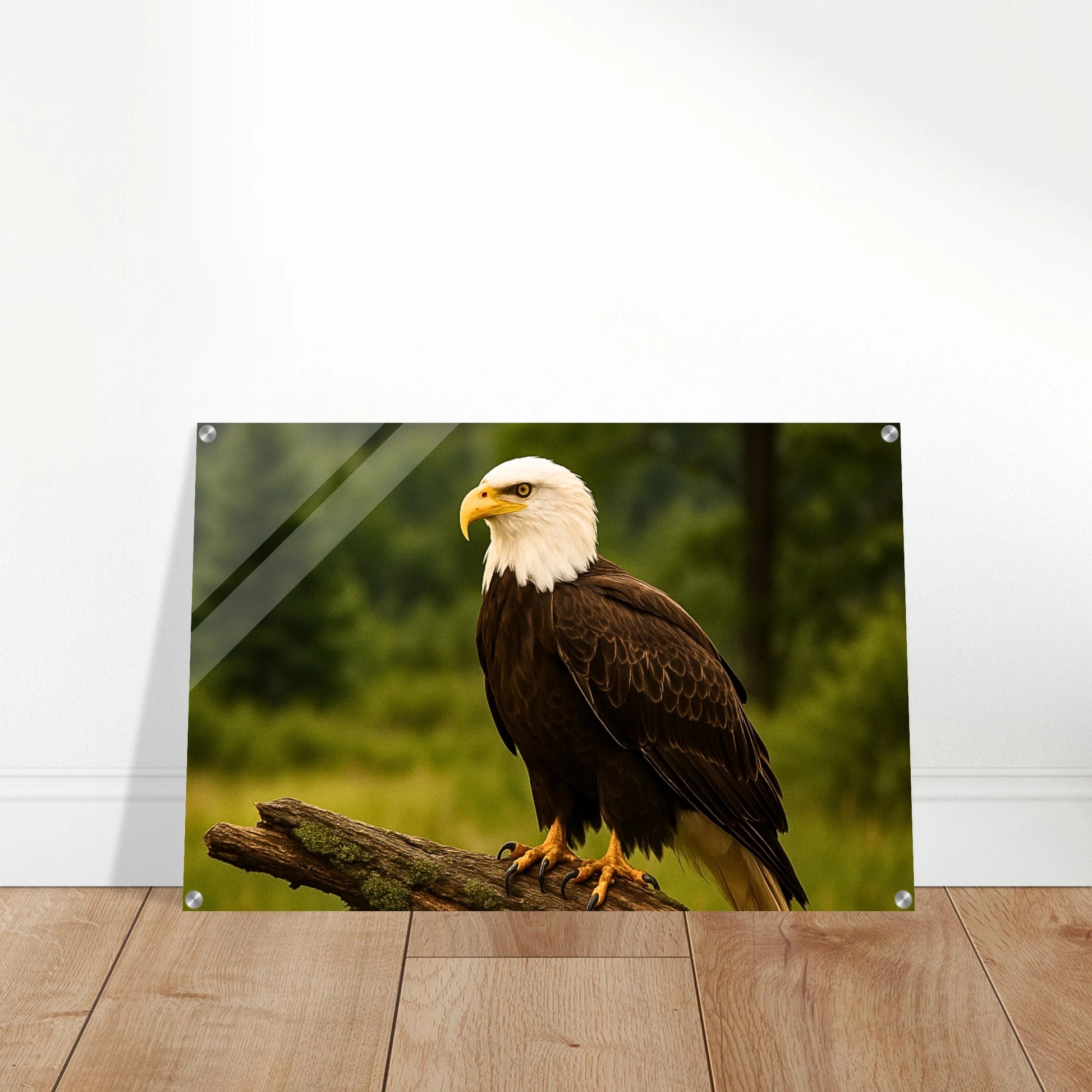 e7c72da2-204a-4172-9437-607aa7e2af85