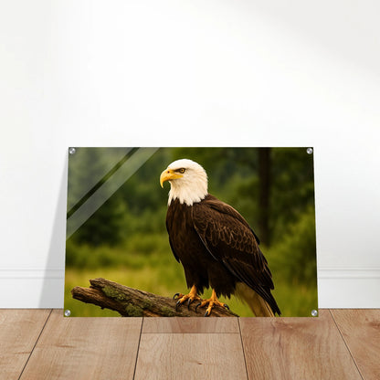 e7c72da2-204a-4172-9437-607aa7e2af85