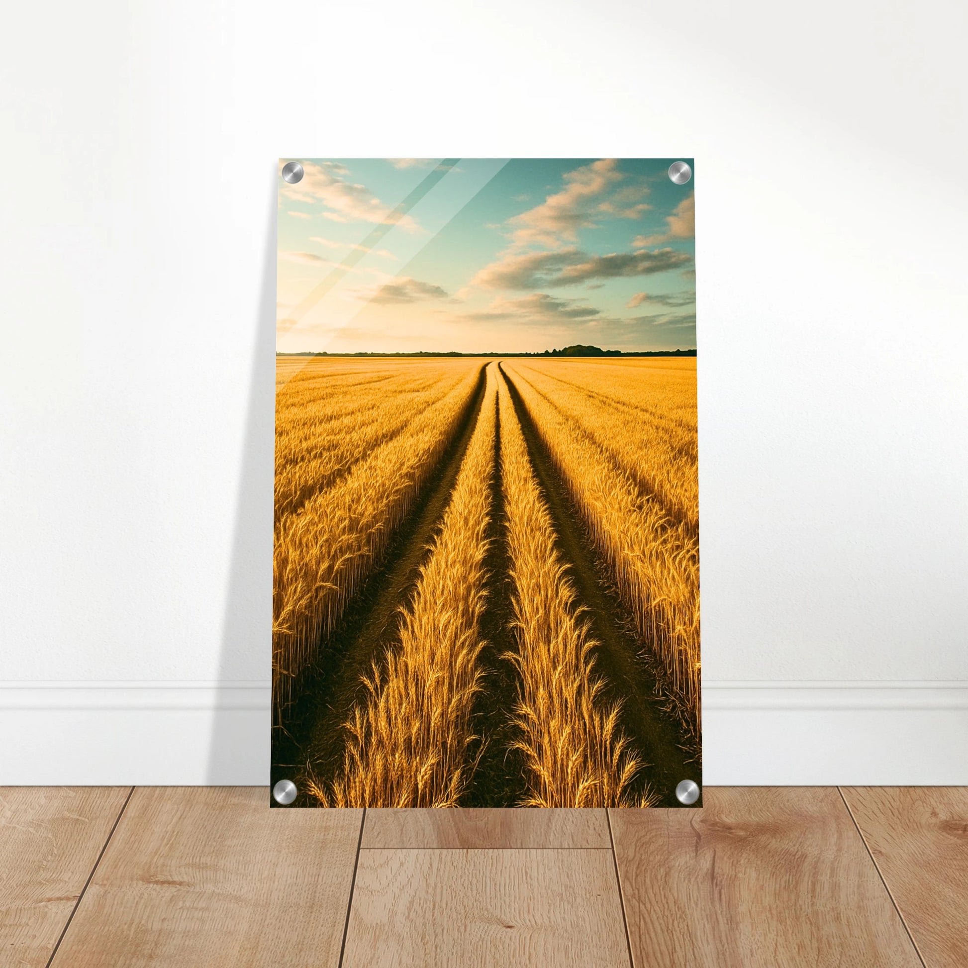 e88313cc-58a8-42de-8f91-892b3a1504e8