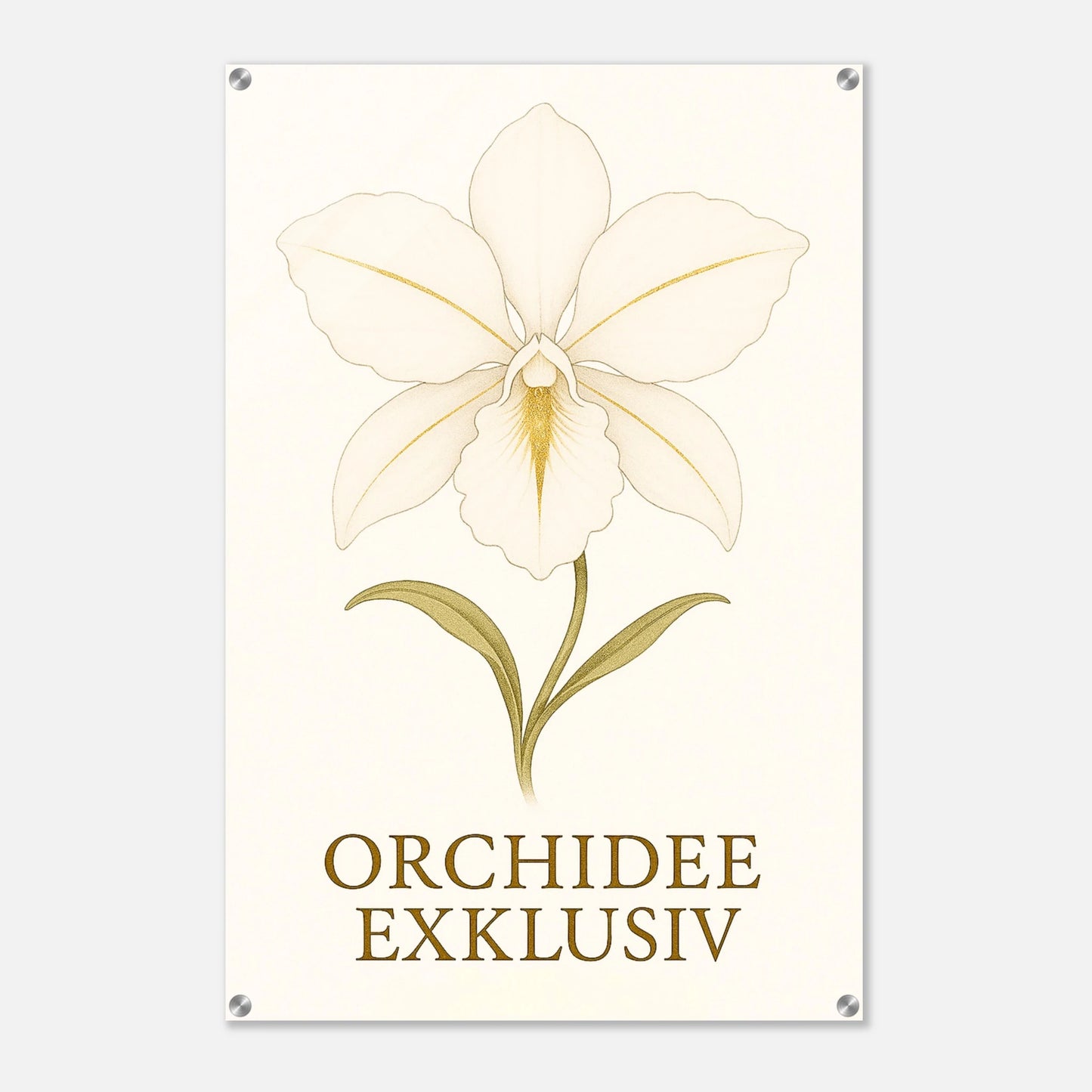 f068e3e2-a82b-43c9-b149-584398171df8