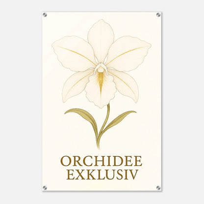 f068e3e2-a82b-43c9-b149-584398171df8