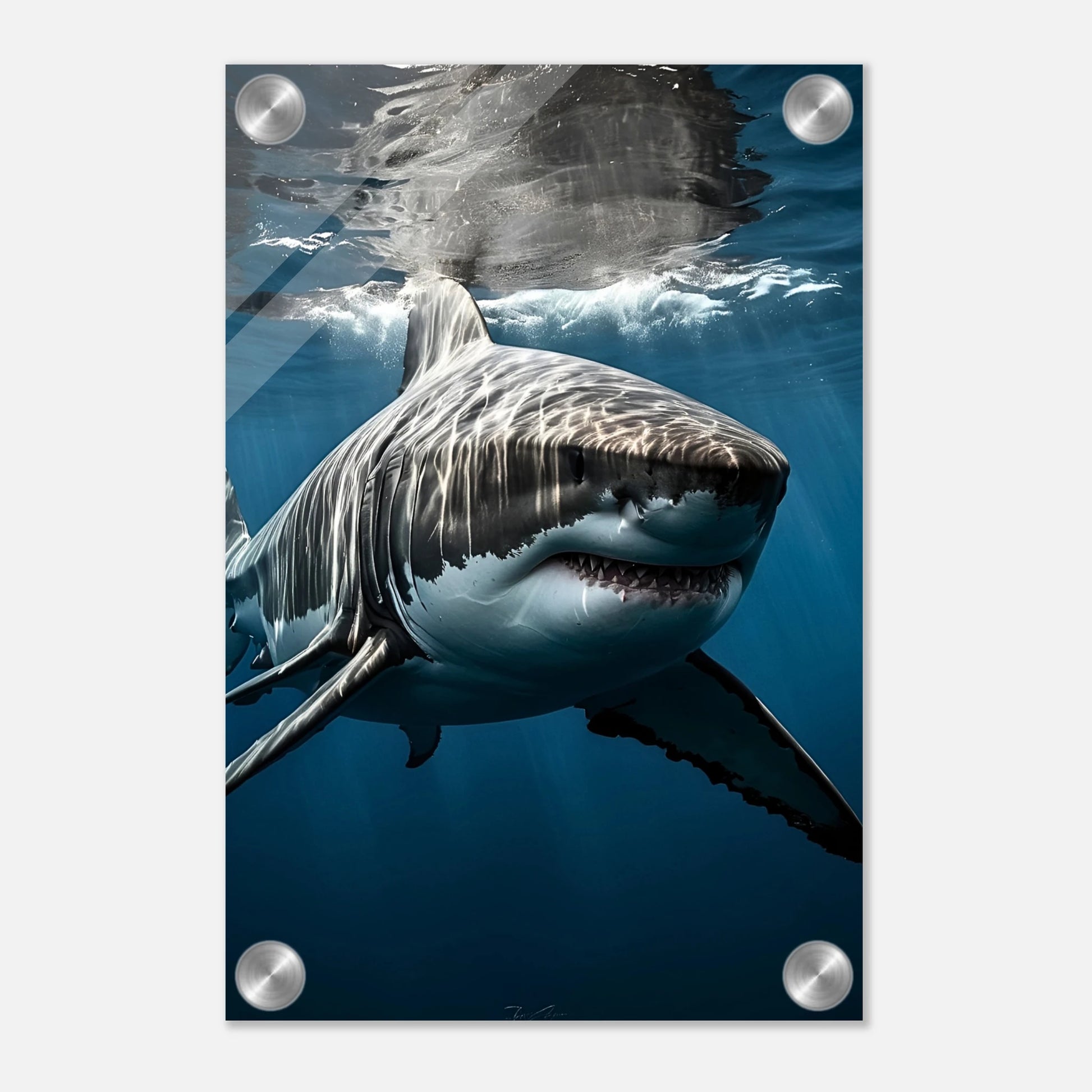 f4dd22ba-0fea-4c19-b4e9-d0fbe950222a