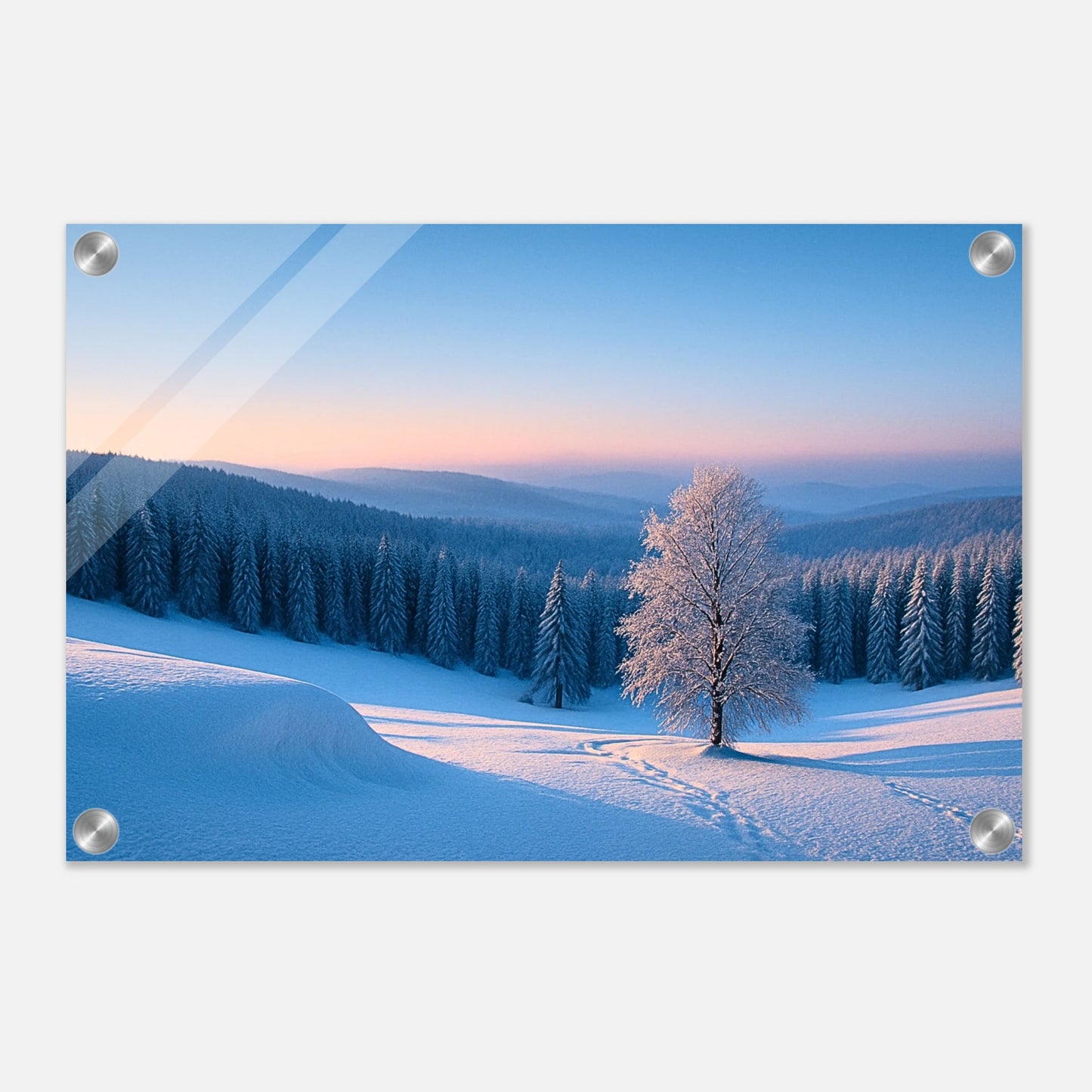 f502a844-ff5d-447c-9f3b-6afb555e2965