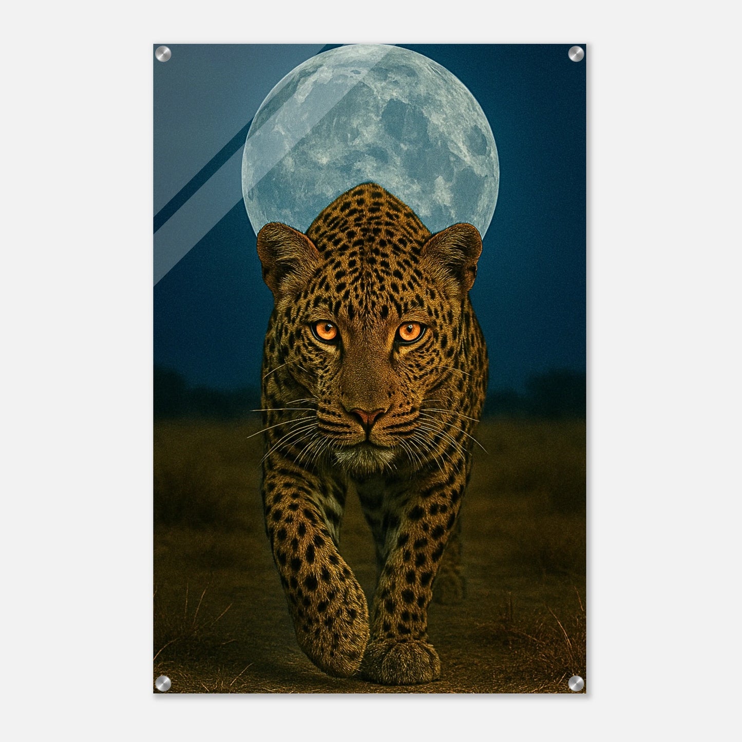 f909951b-6850-4c12-ba46-44f8ce428f14