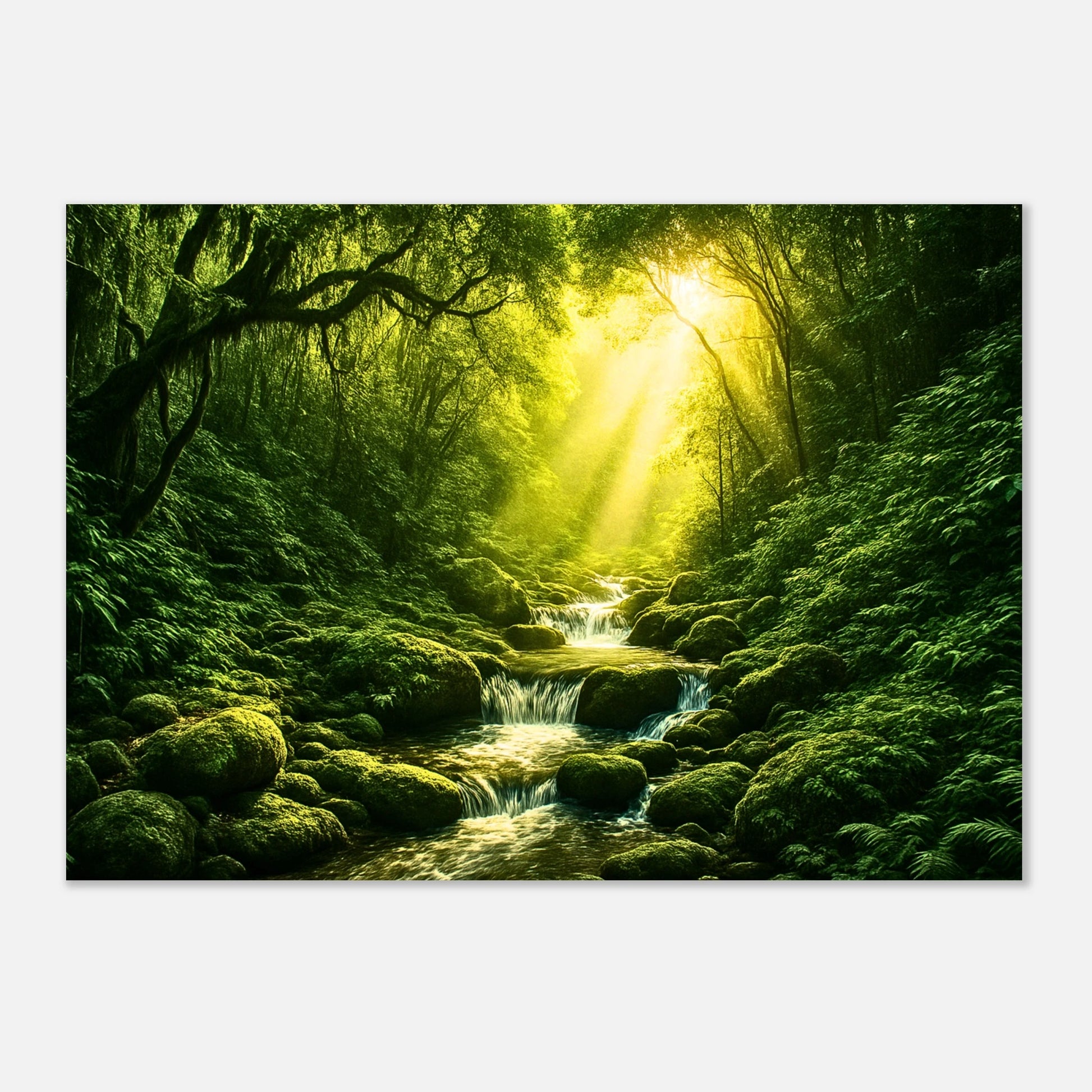 "Jungle forest wall art – premium poster mockup with sunlight and trees"