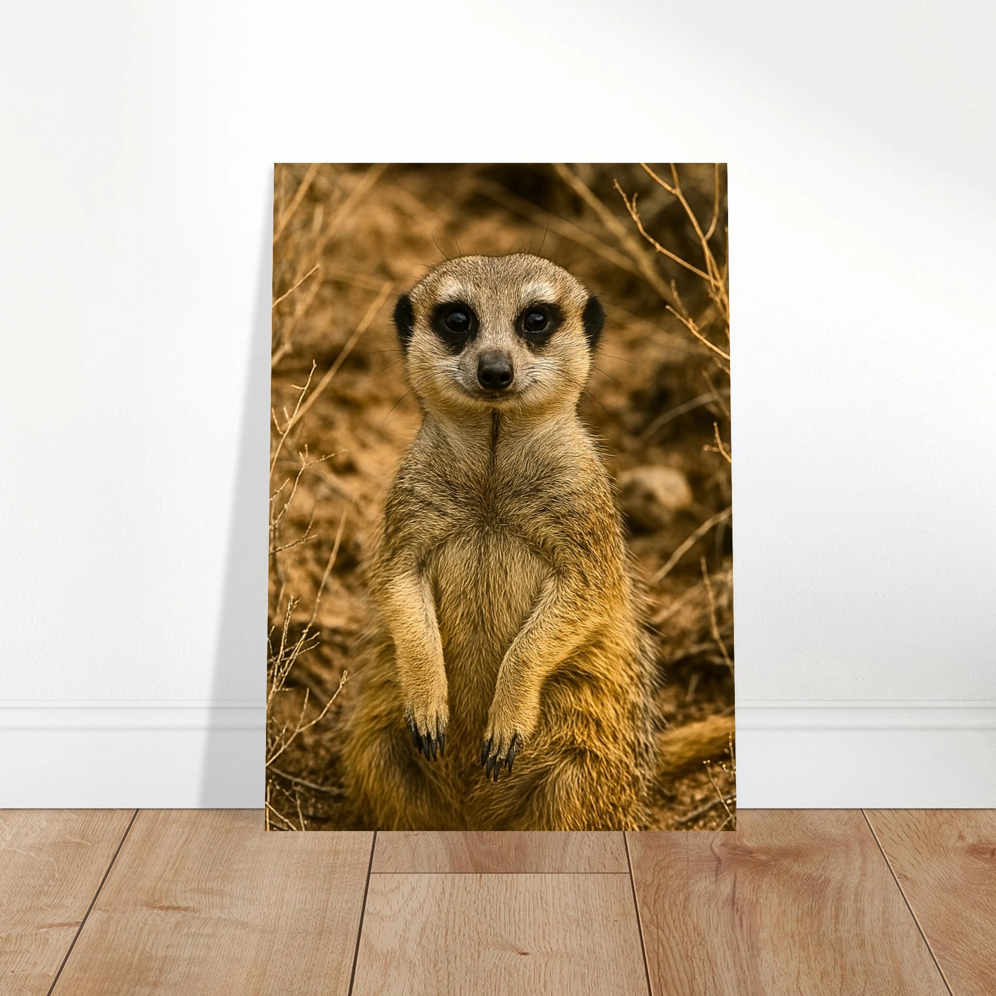 Large meerkat wall art poster displayed in modern living room, wildlife nature print for home decoration.