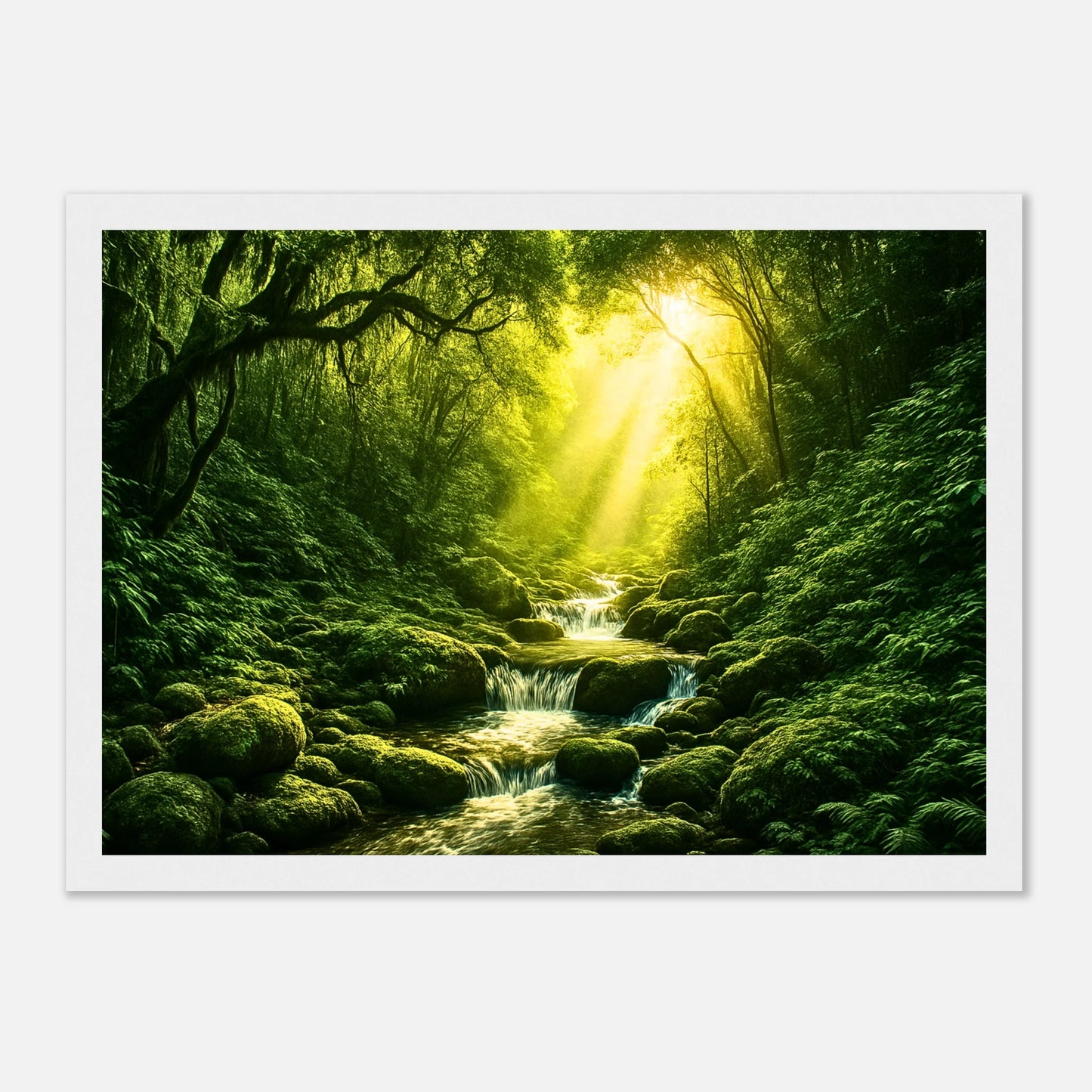 Poster „Light in the Jungle“ mit Sonnenstrahlen im Dschungel – Natur Wandbild im weißen Rahmen