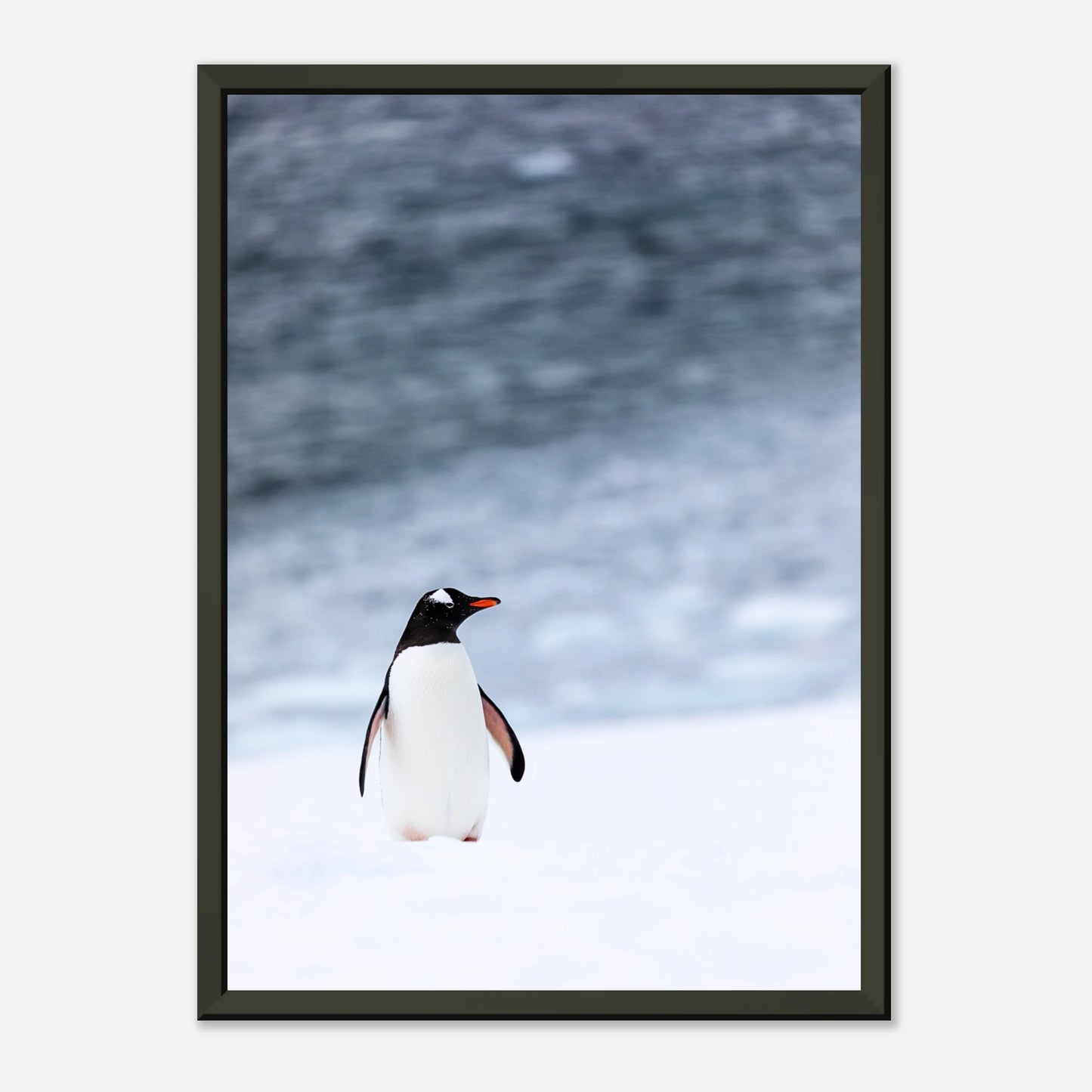 Modernes Tierposter „Antarctic Stroll“ – Pinguin in winterlicher Umgebung, minimalistisches Wandbild im schwarzen Metallrahmen | DEFA Designs