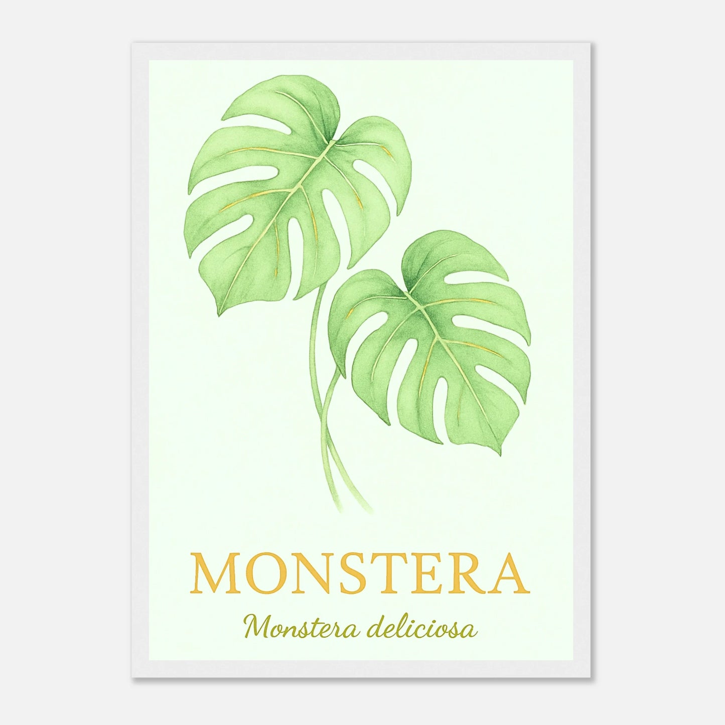 Monstera Poster mit weißem Holzrahmen – modernes Pflanzenbild für stilvolle Wanddeko