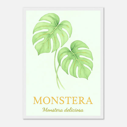 Monstera Poster mit weißem Holzrahmen – modernes Pflanzenbild für stilvolle Wanddeko