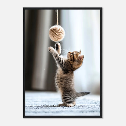 „Paws & Play“ Katzen Poster im schwarzen Holzrahmen – modernes Tierportrait für stilvolle Wohnräume.