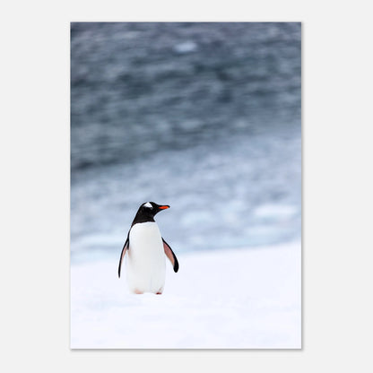 Antarctic Stroll Poster – Pinguin-Kunstdruck ohne Rahmen, auf Tisch präsentiert.