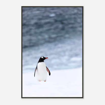 Nahaufnahme vom Antarctic Stroll Poster – detailreicher Pinguin auf Eis, moderne Winterkunst im schwarzen Metallrahmen | DEFA Designs