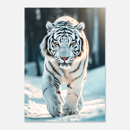 The White Tiger Poster – majestätischer weißer Tiger in eisblauer Winterlandschaft als Wandkunst