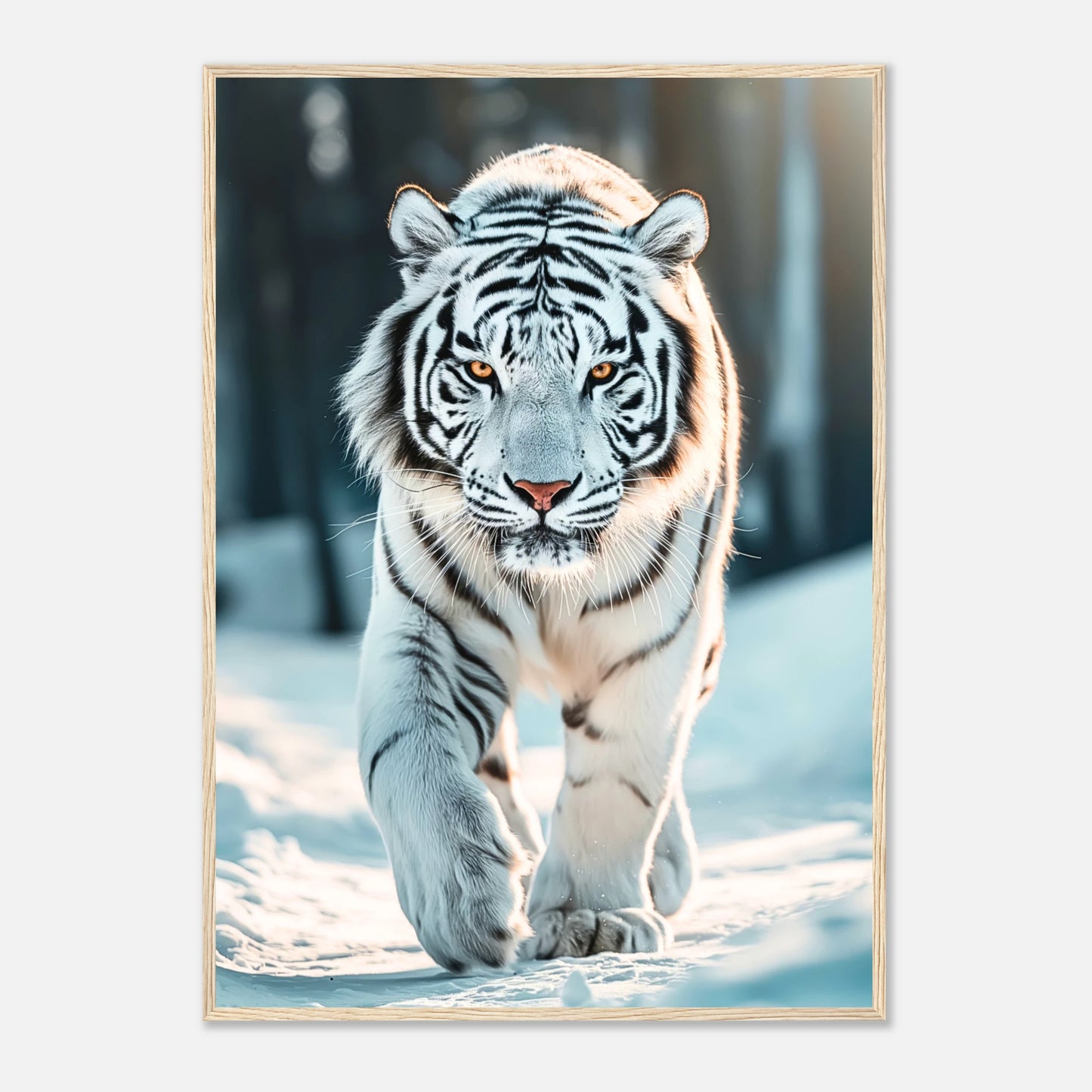 The White Tiger Poster mit hellbraunem Holzrahmen – edle Wandkunst mit weißem Tiger für Wohnzimmer und Büro.