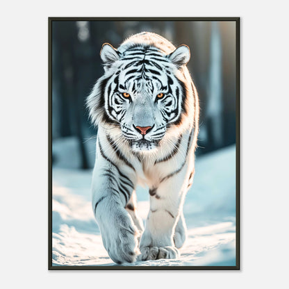 The White Tiger Poster mit majestätischem weißen Tiger im Schnee, schwarzer Metallrahmen – edle Tierkunst von Defa Designs.