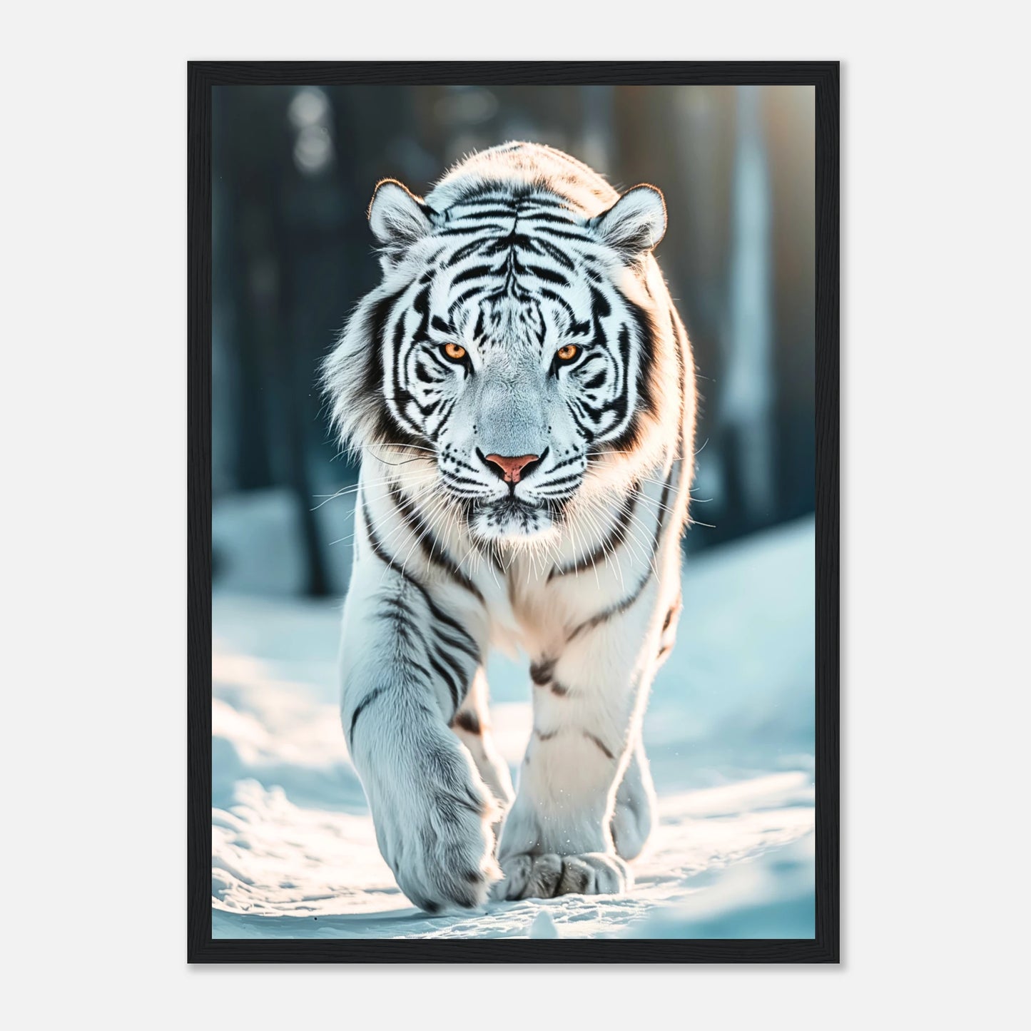The White Tiger Poster mit schwarzem Rahmen – modernes und elegantes Wandbild für Wohnzimmer, Büro oder Galerie.