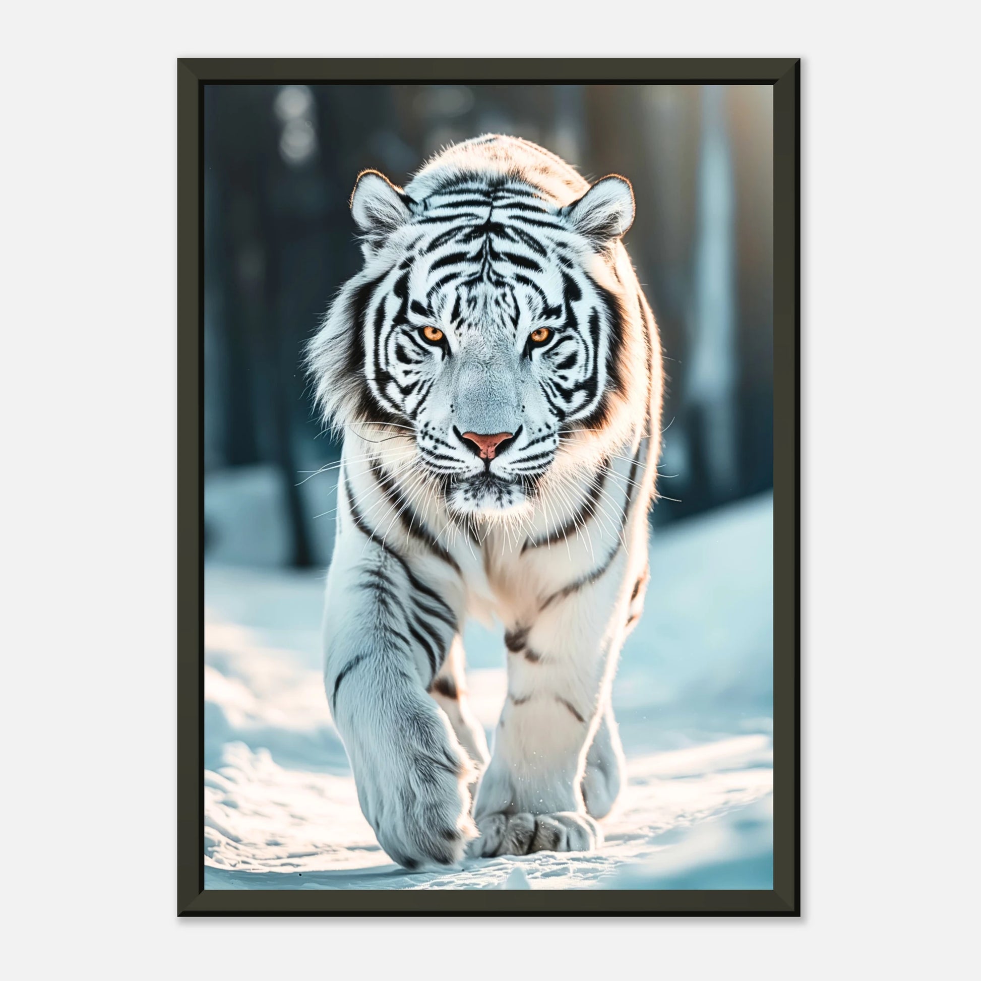 Seitliche Ansicht des The White Tiger Posters – weiß getigerter Raubkatze unter winterlichem Licht im schwarzen Metallrahmen.