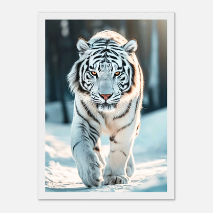 The White Tiger Poster im weißen Rahmen – majestätischer weißer Tiger als stilvolles Wandbild für moderne Wohnräume.
