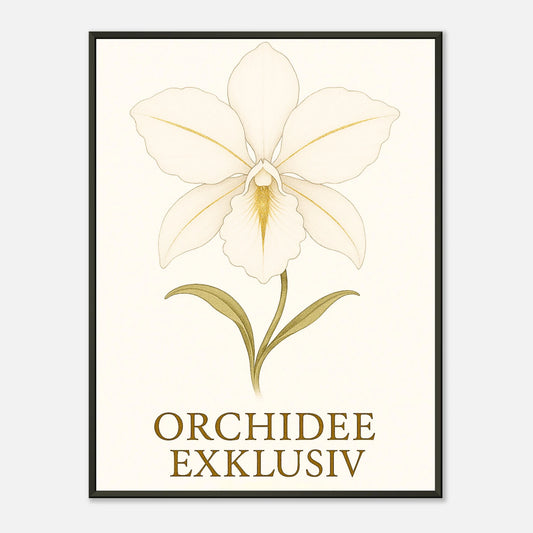 White Orchid Poster im schwarzen Metallrahmen – elegante botanische Illustration einer weißen Orchidee mit goldenen Akzenten auf hellem Hintergrund von Defa Designs.